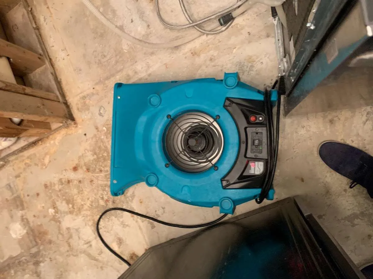 Air mover drying equipment for Mold Remediation & Removal in Munhall